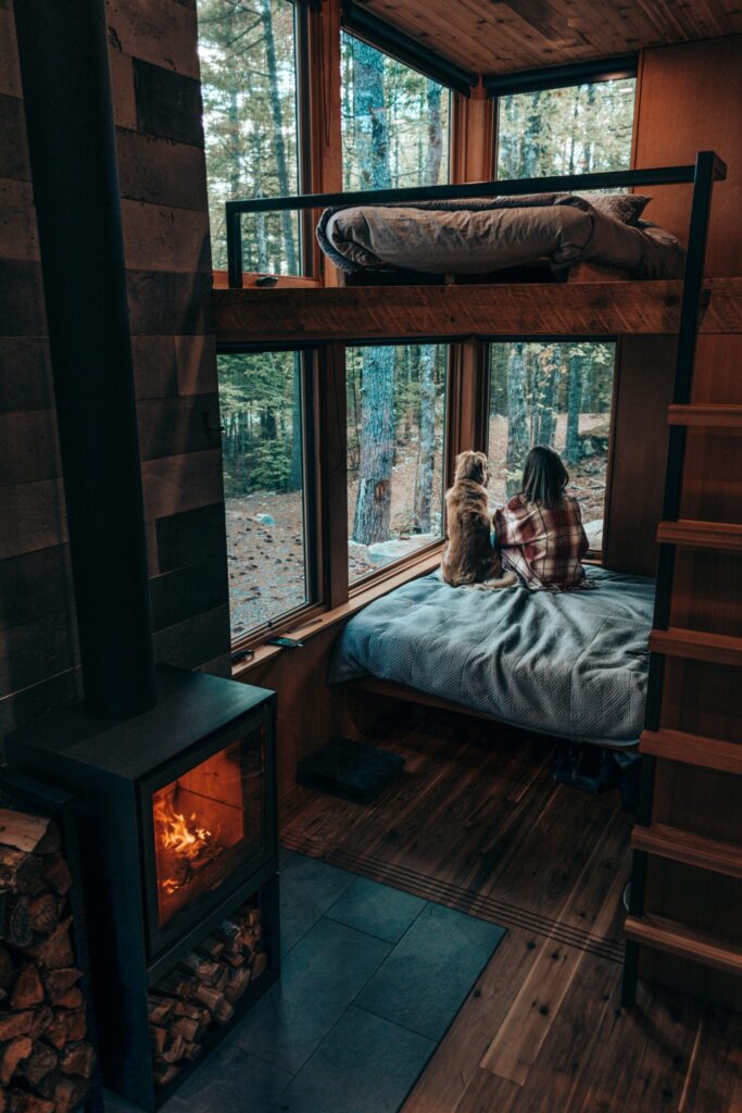 pexels-photo-5562758-5562758 Back view of Faceless brunette and dog sitting on comfy bed near fireplace in cozy room of wooden cottage and looking out window on peaceful lush forest